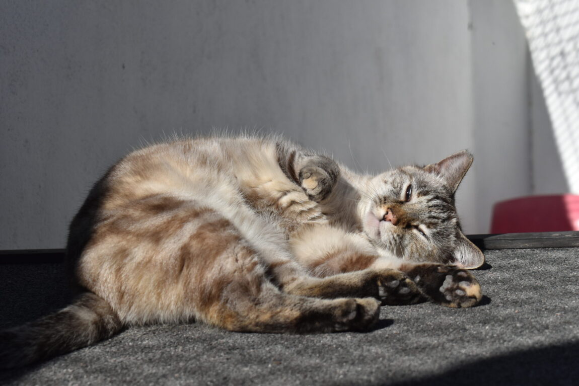 EJW_0545-scaled.jpg