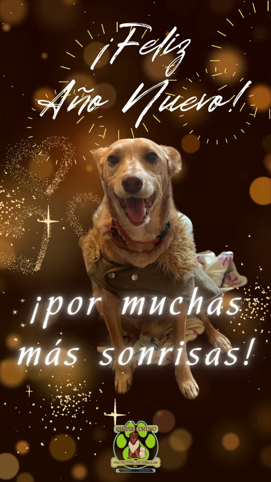 Feliz-Ano-Nuevo-Elegante-Dorado-Your-Story-scaled.jpg