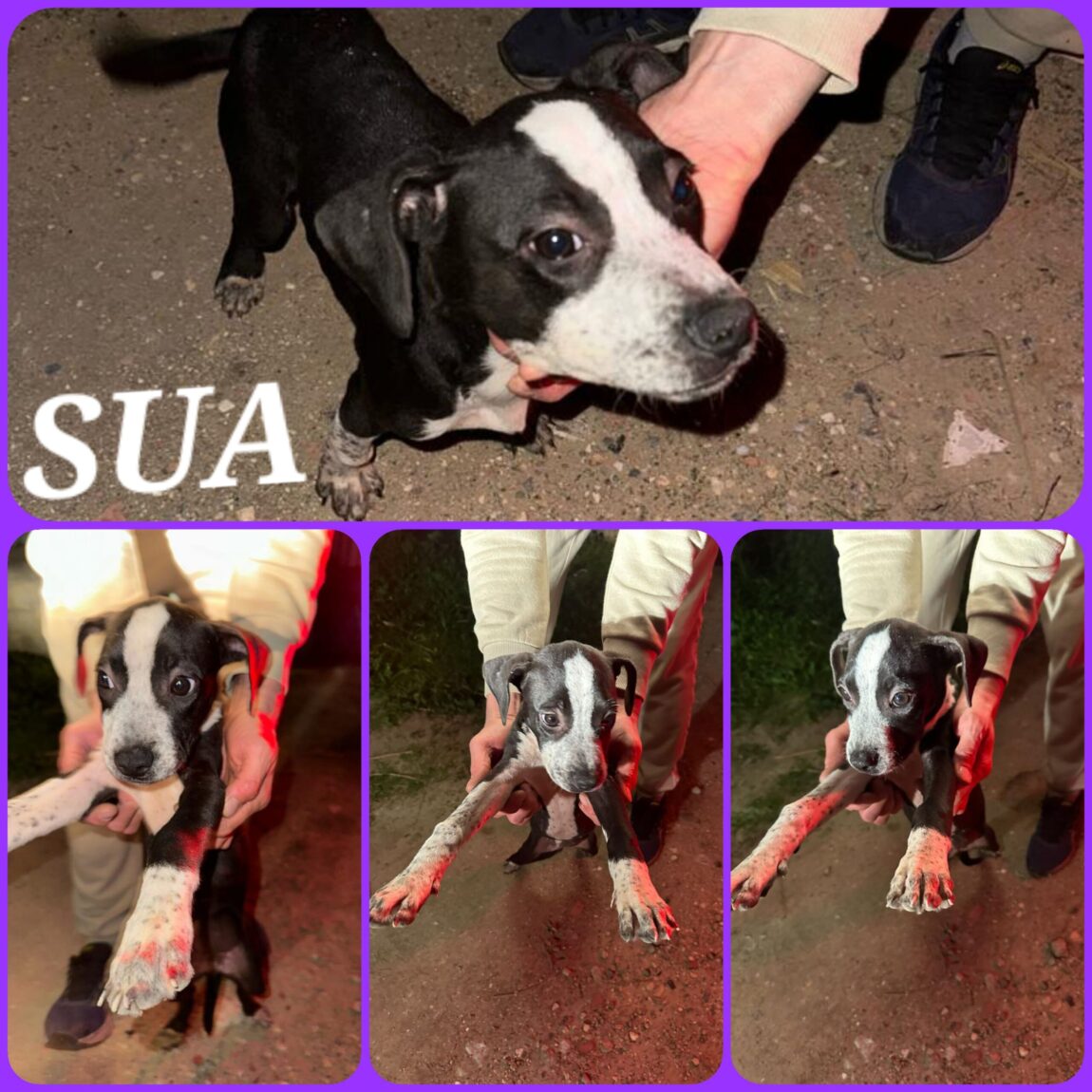 SUA-10-11-23-scaled.jpg