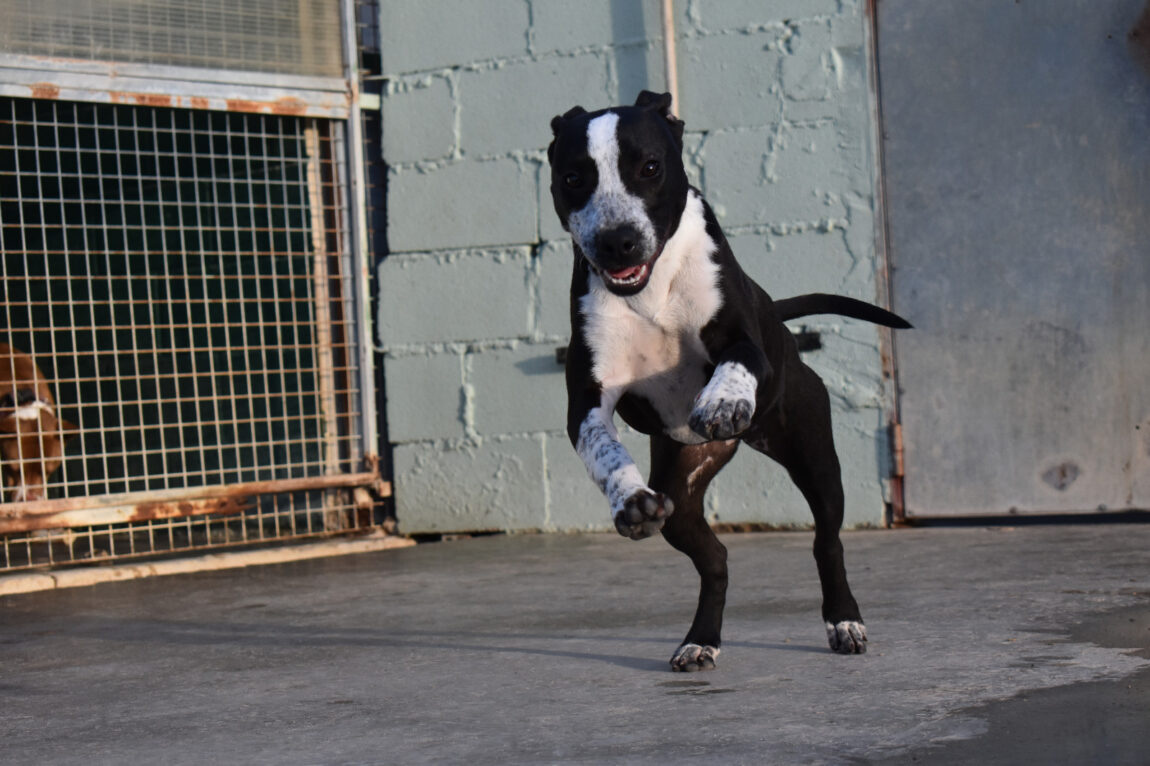 SUA-corre-2.jpg