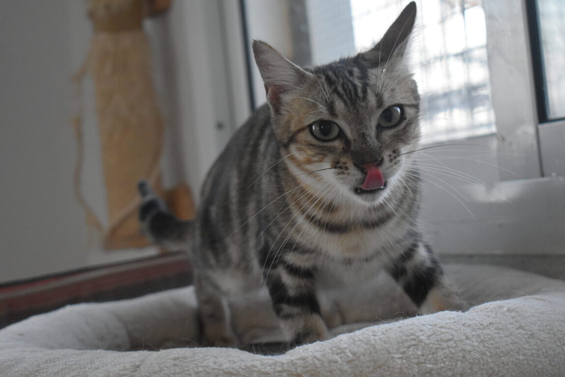 DSC_4567-scaled.jpg