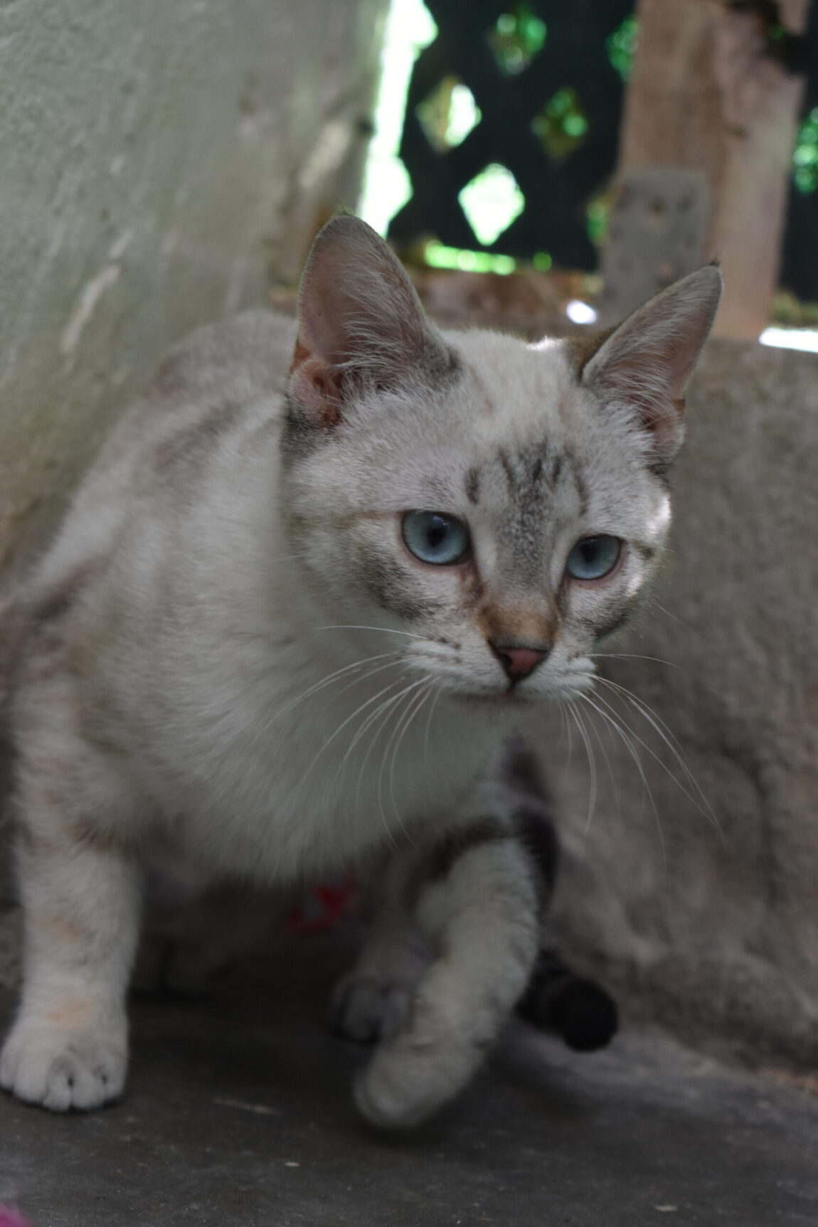 DSC_8623-scaled.jpg