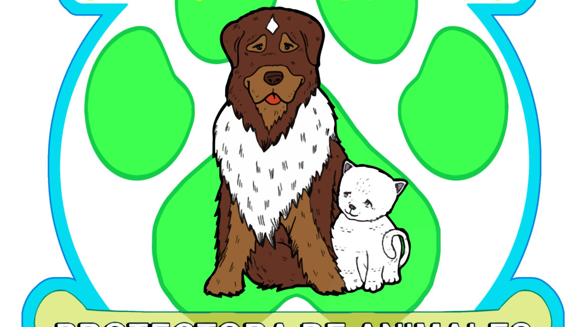 Homepage