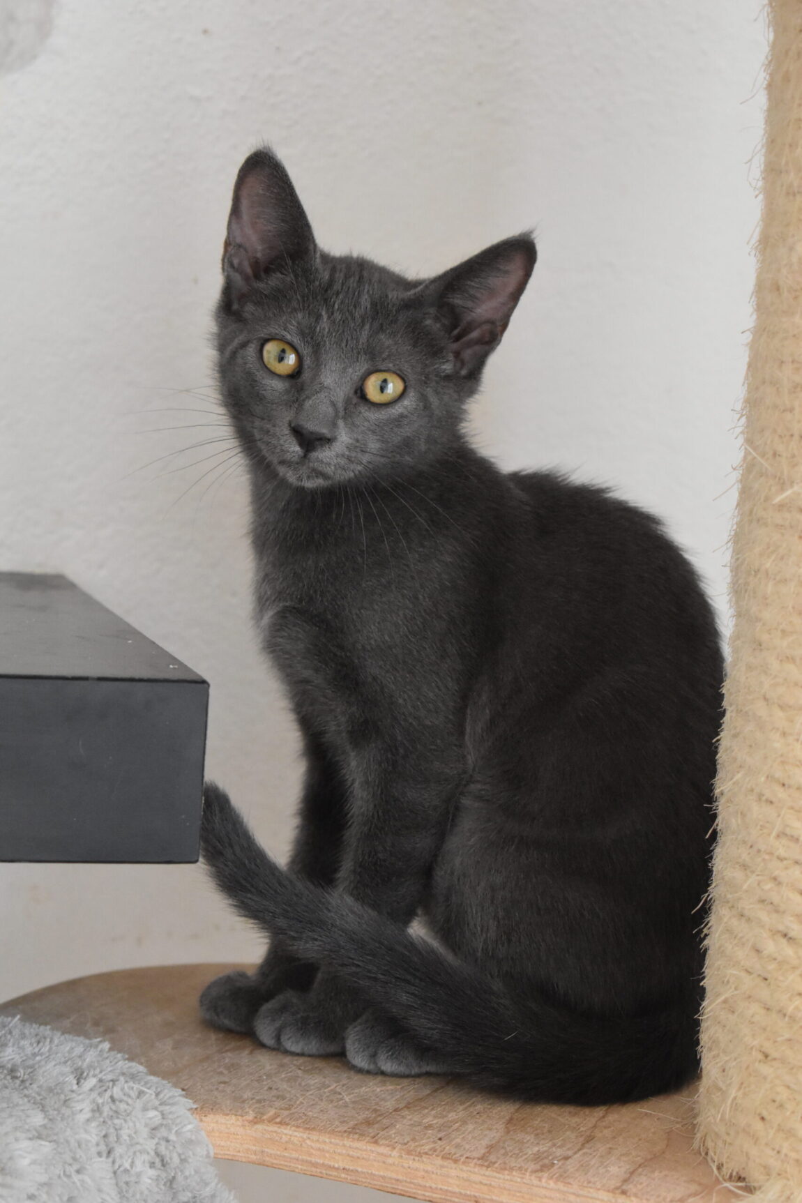 EJW_3956-scaled.jpg