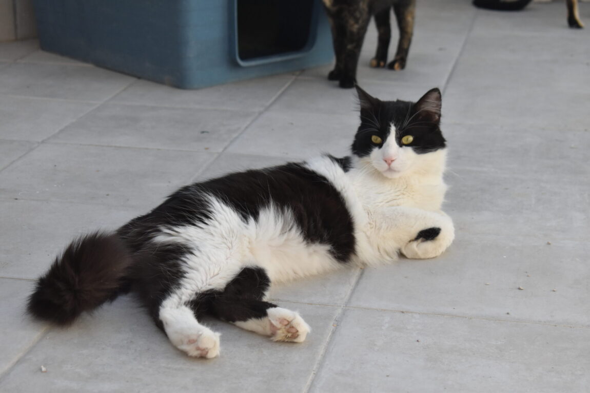 DSC_1360-scaled.jpg