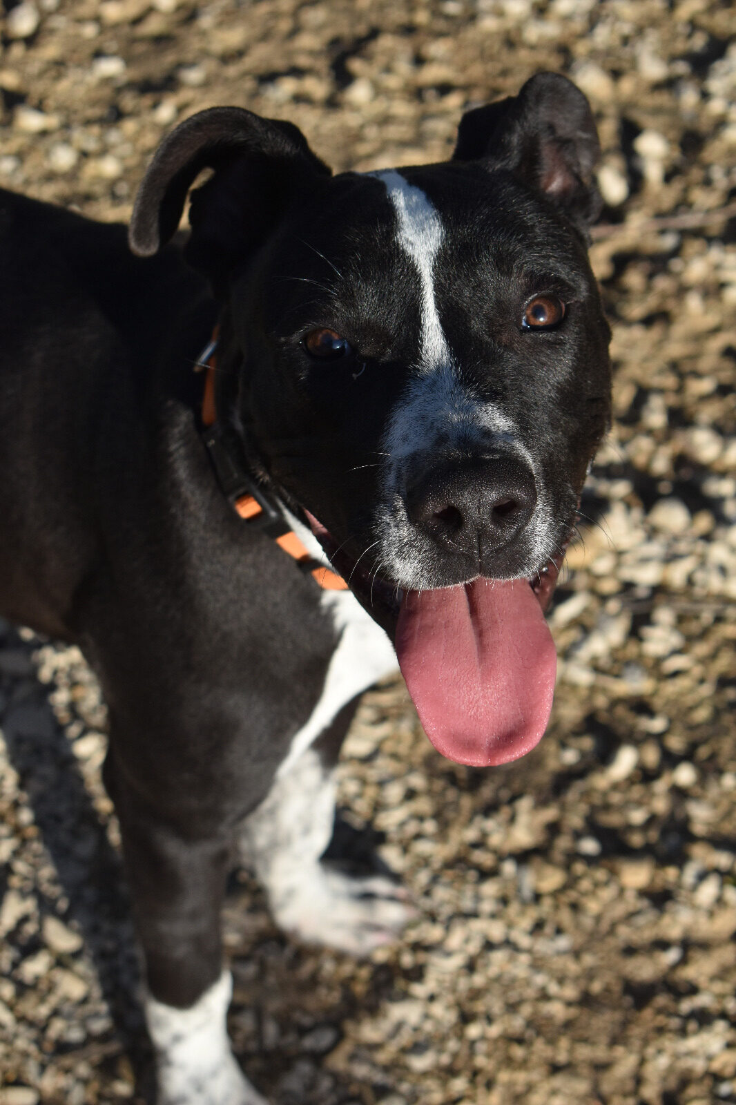 CESAR-6-e1730658905702.jpg