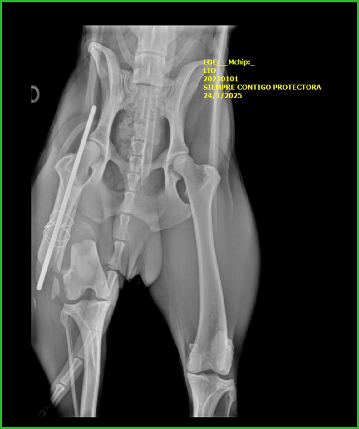 LIO_1-1-scaled.jpg