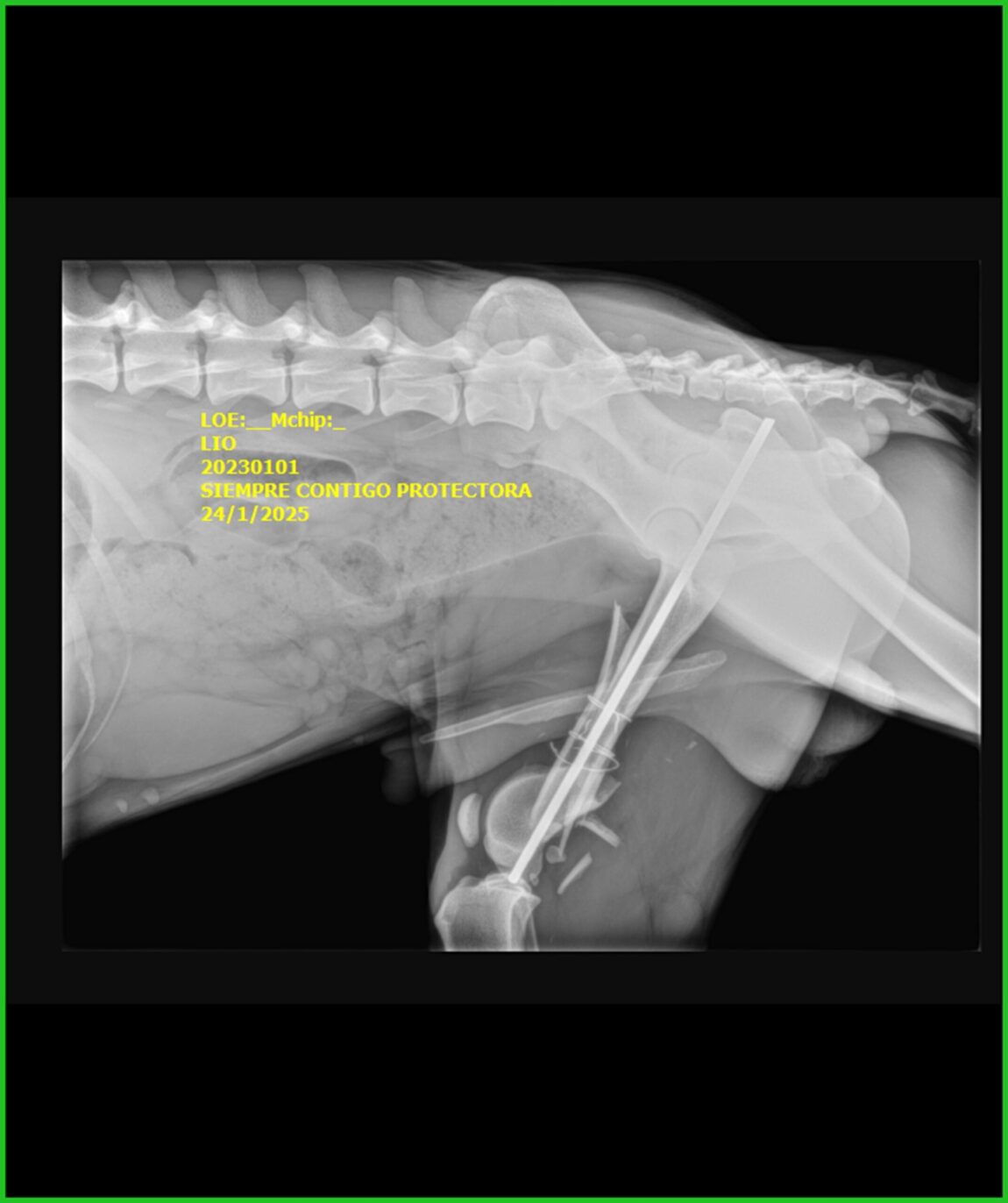 LIO_1-scaled.jpg