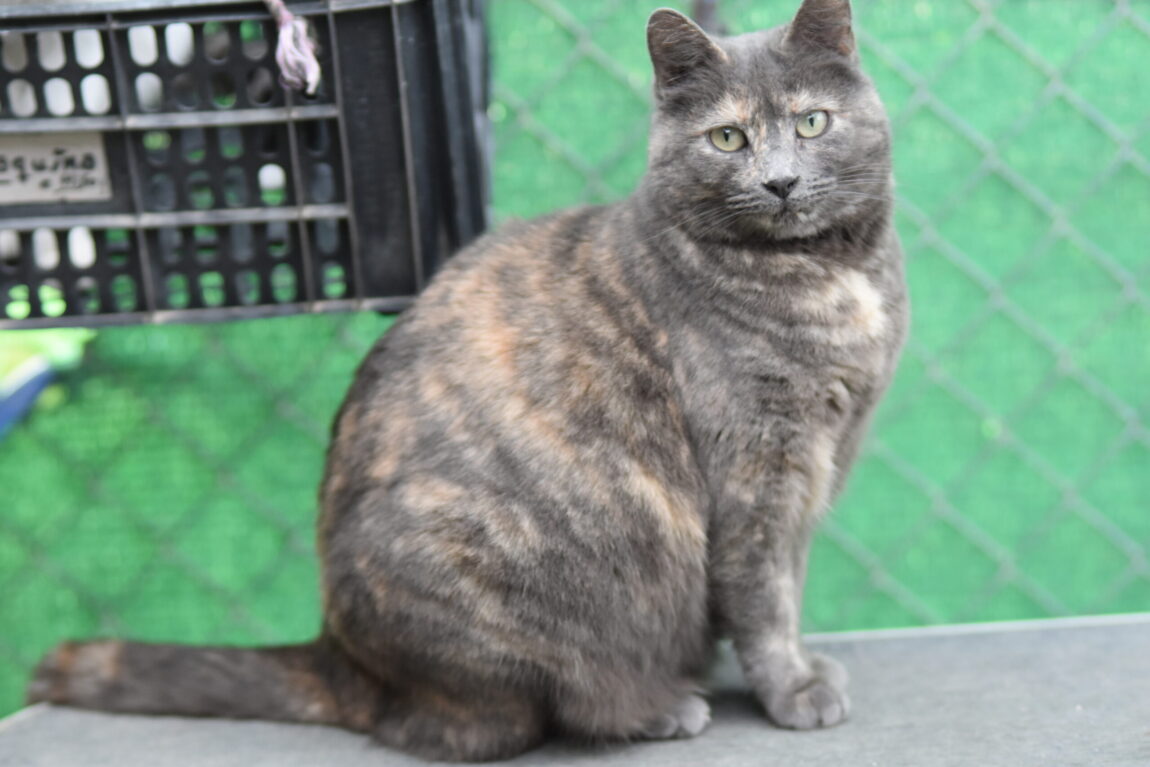 EJW_3660-scaled.jpg