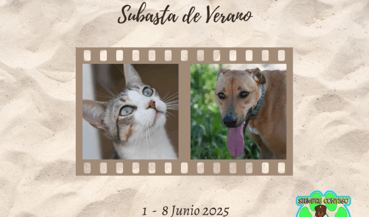 NUEVA SUBASTA DE VERANO 2025