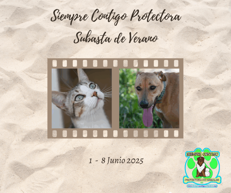 NUEVA SUBASTA DE VERANO 2025