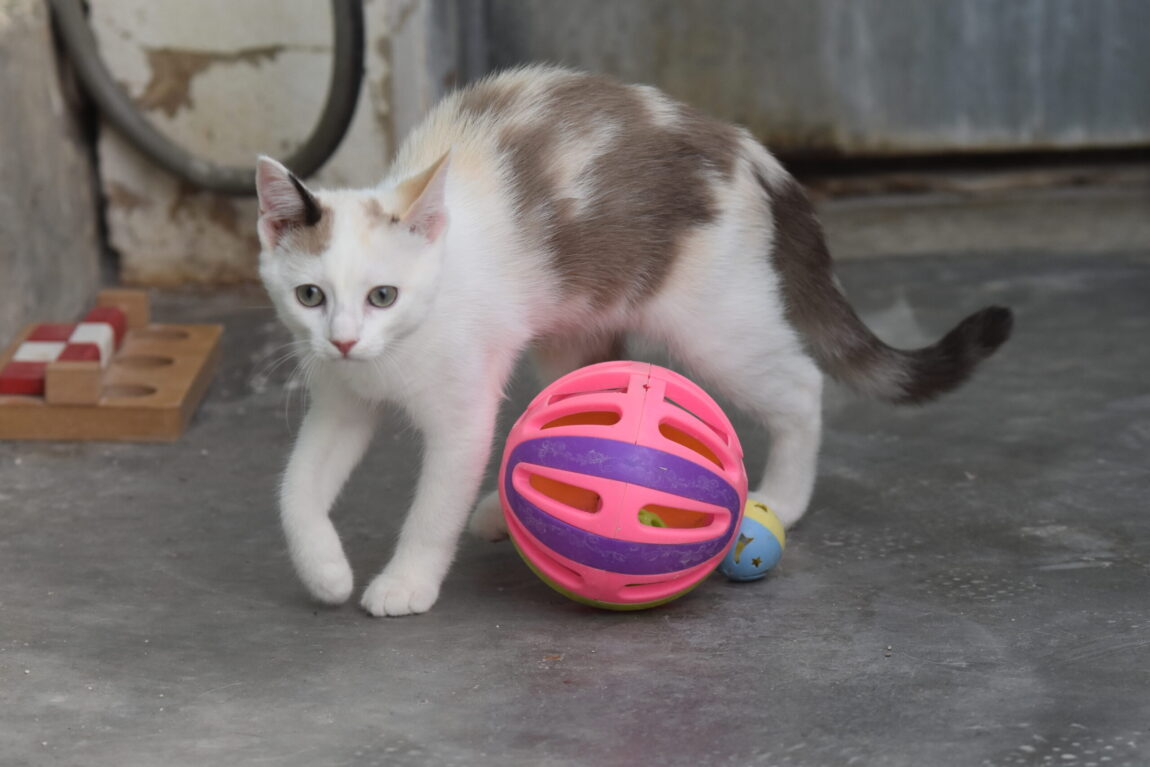 DSC_1801-scaled.jpg