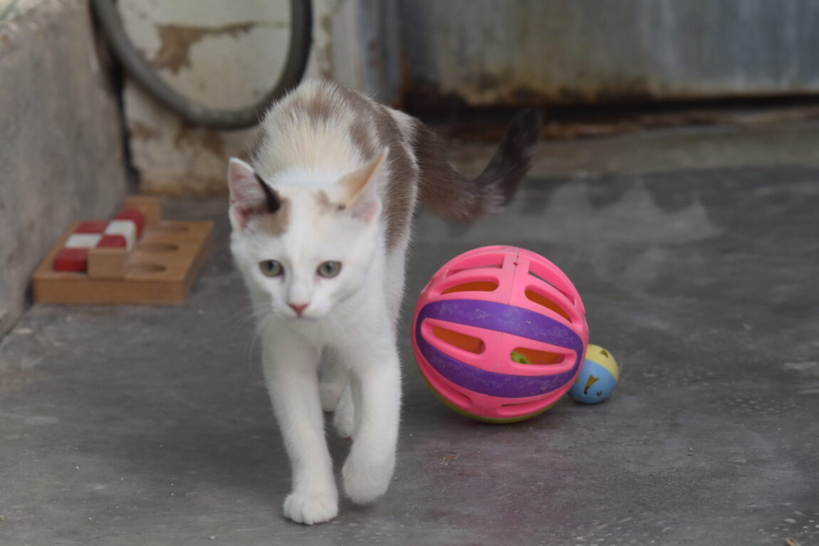 DSC_1803-scaled.jpg