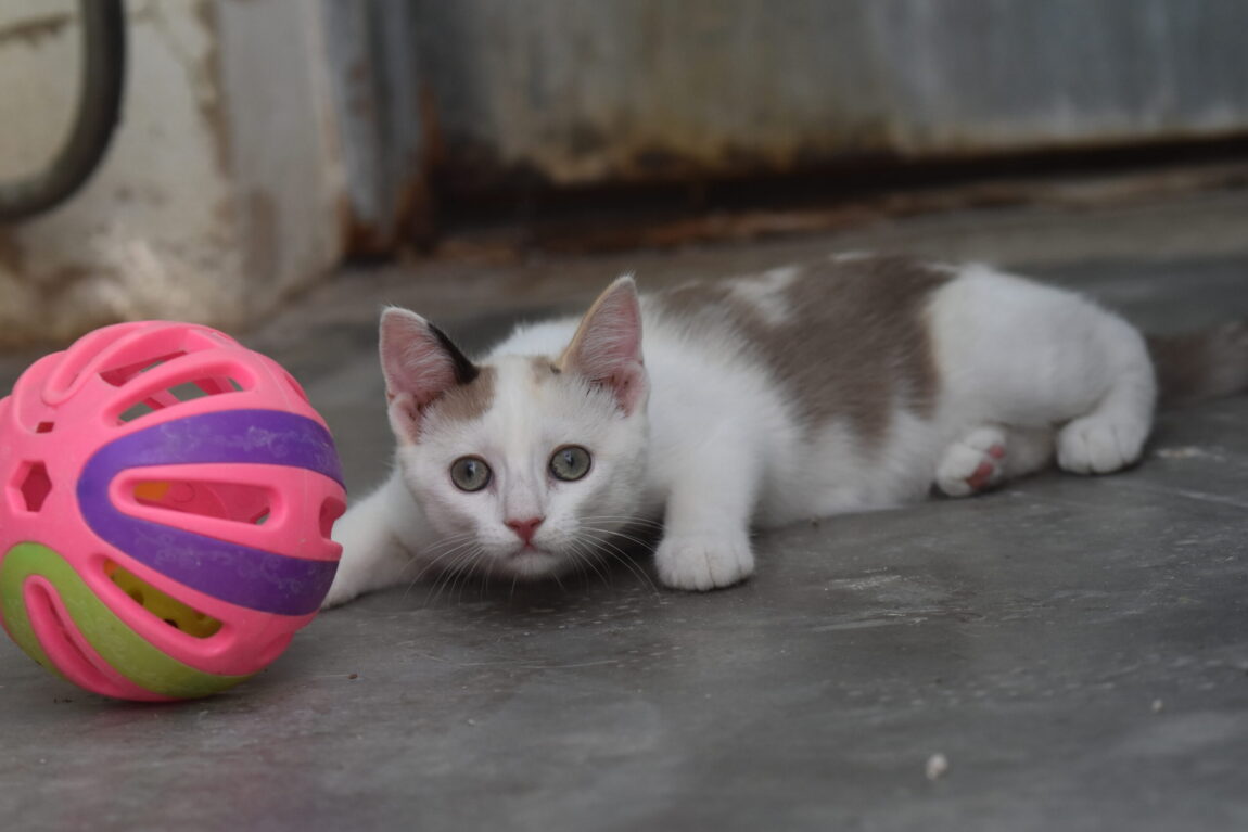 DSC_1823-scaled.jpg