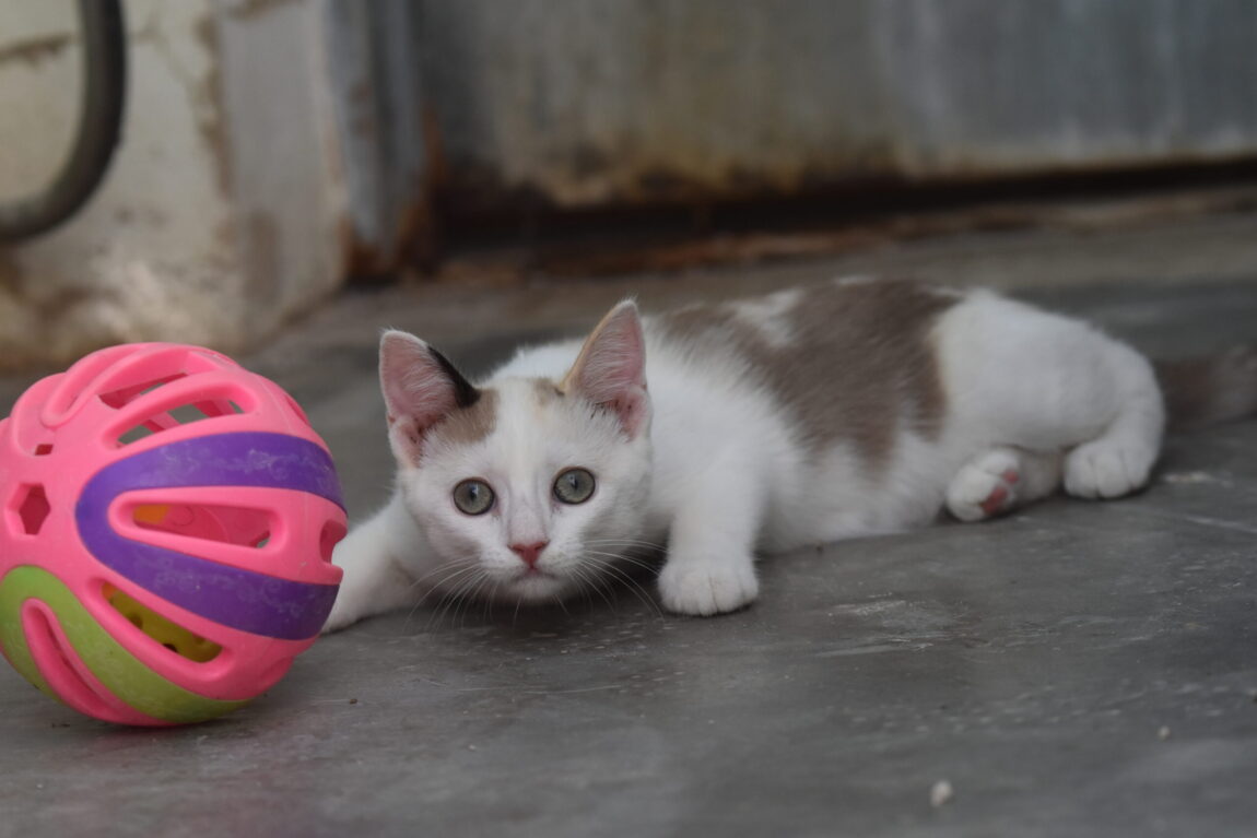 DSC_1825-scaled.jpg