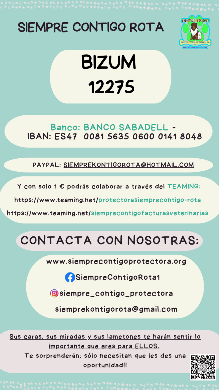 Nueva cuenta bancaria