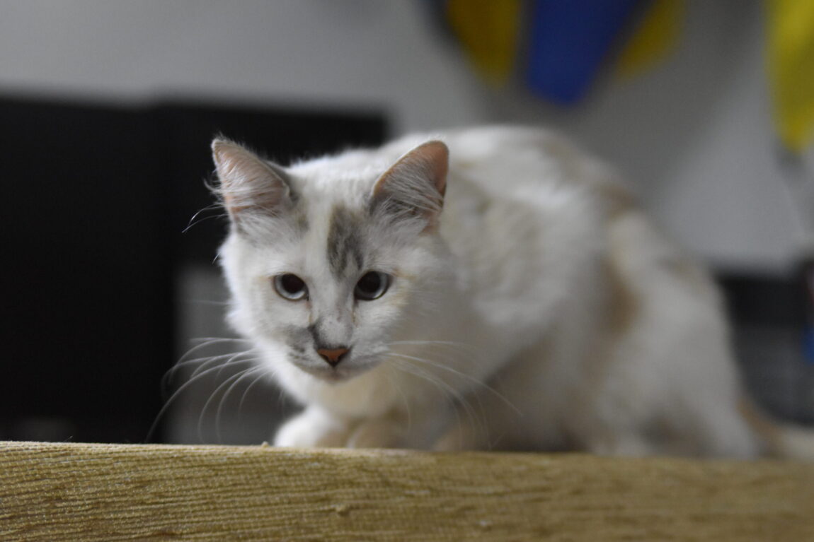 DSC_6621-scaled.jpg