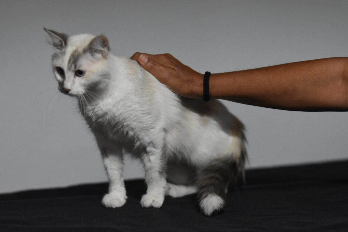 DSC_6624-scaled.jpg