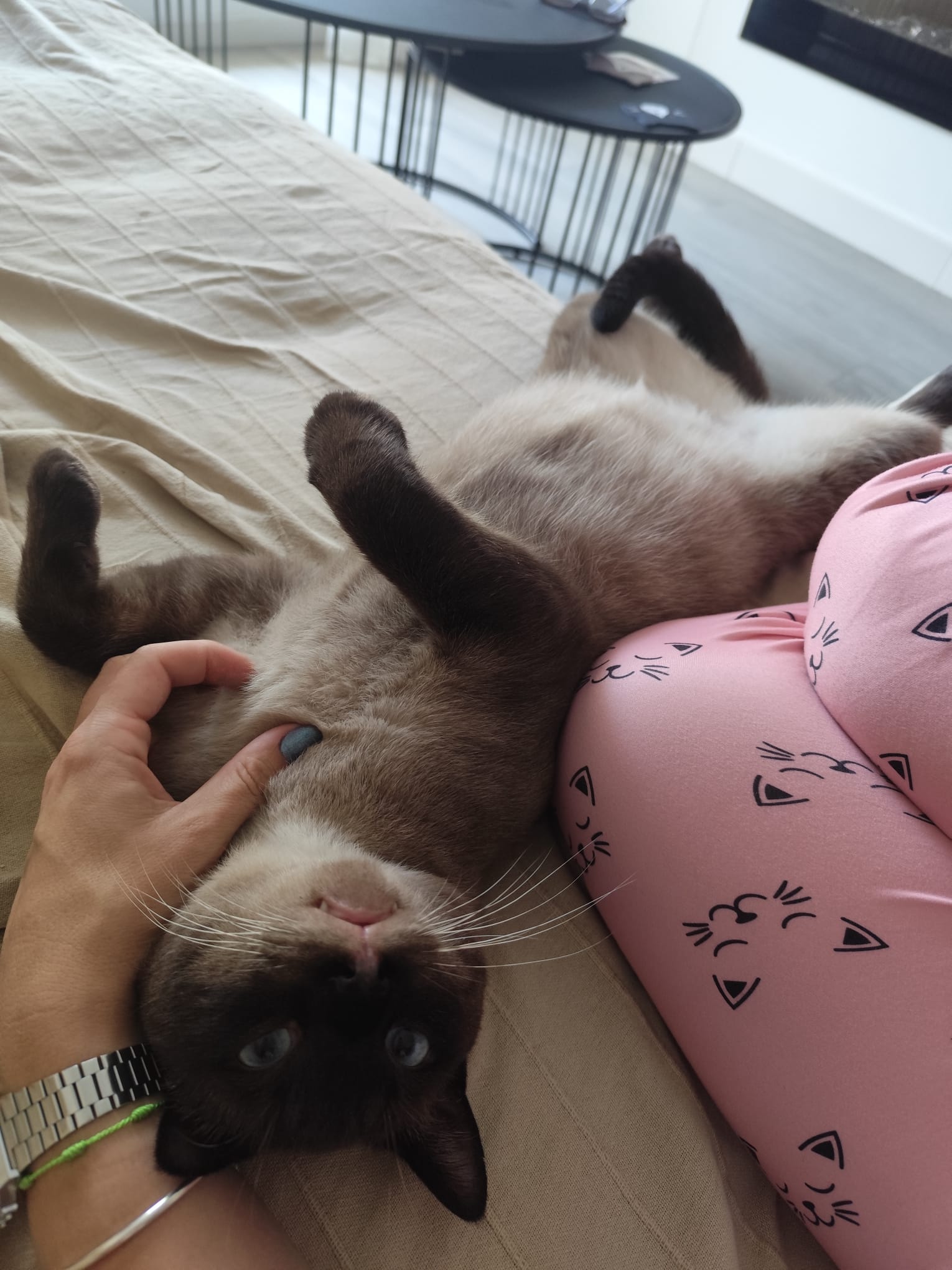 WhatsApp Image 2025-10-16 at 22.37.31 (1)