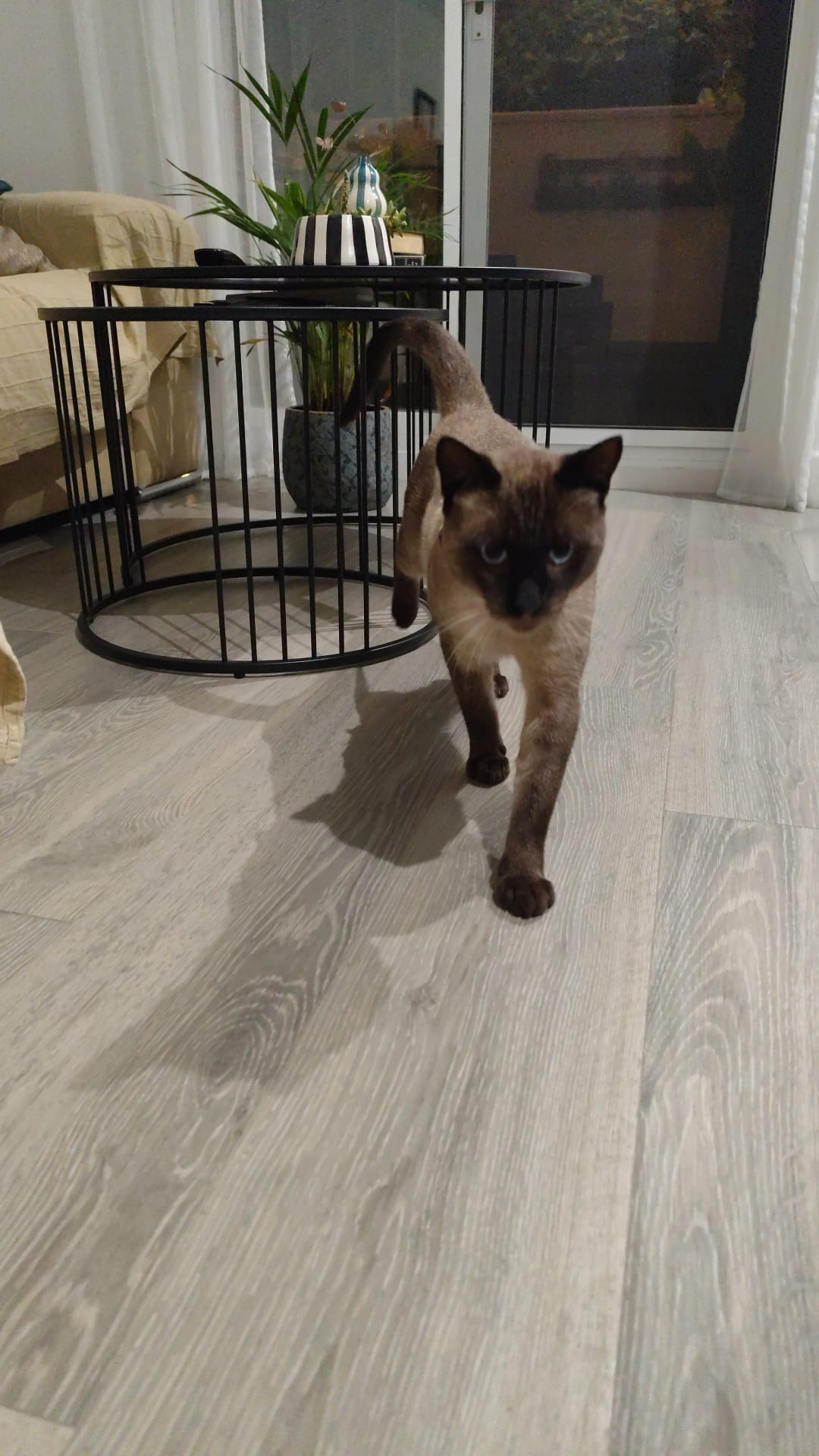 WhatsApp Image 2025-10-16 at 22.37.31 (3)