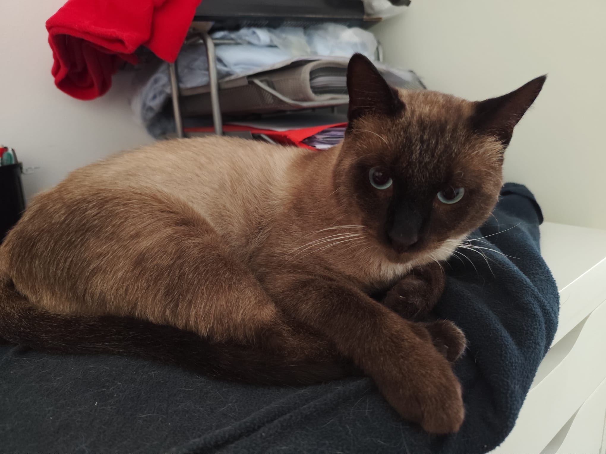 WhatsApp Image 2025-10-16 at 22.37.31 (4)