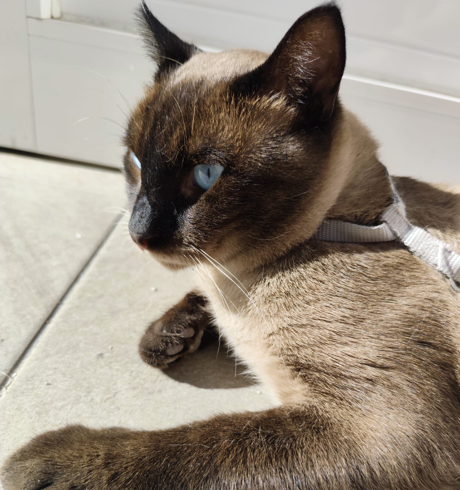 WhatsApp Image 2025-10-25 at 19.33.14