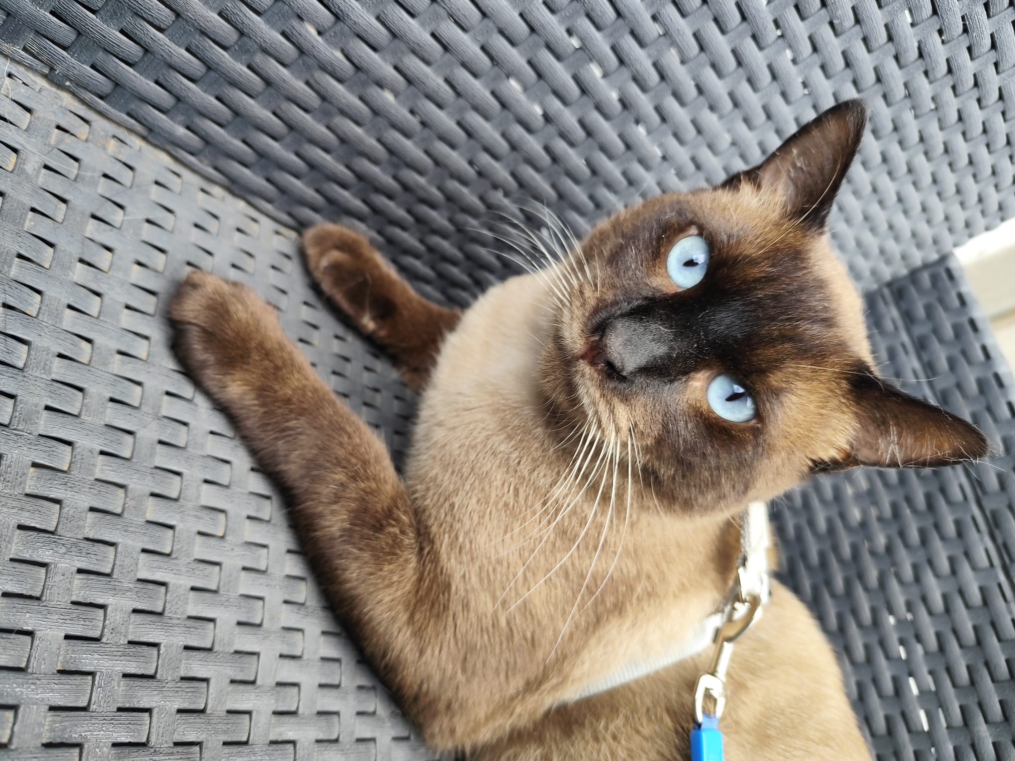 WhatsApp Image 2025-10-28 at 12.02.26