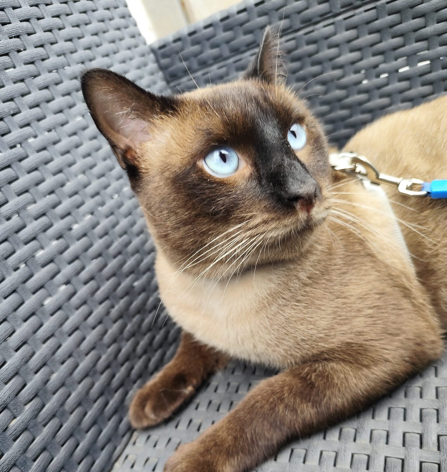 WhatsApp Image 2025-10-28 at 12.02.27