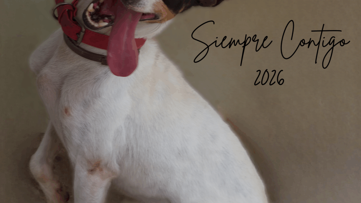 CALENDARIOS SOLIDARIOS 2026