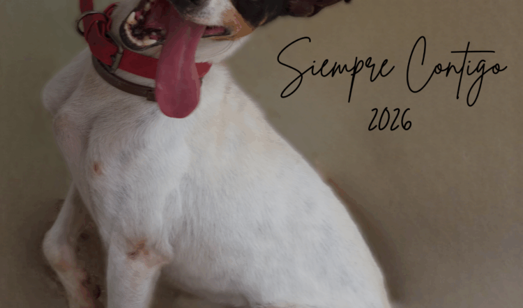 CALENDARIOS SOLIDARIOS 2026