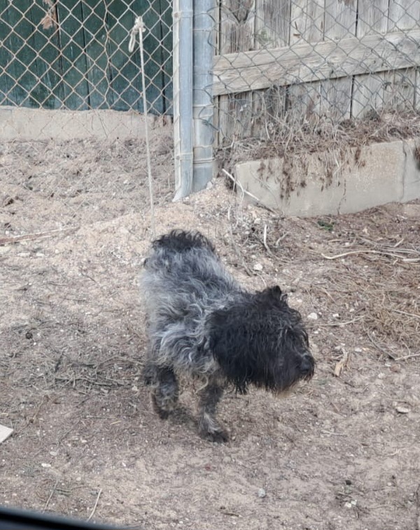 IMG-20251105-WA0037 (1)