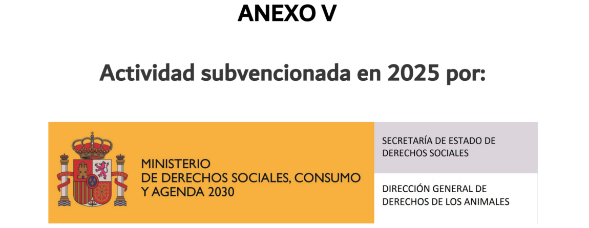 Captura-de-pantalla-2026-02-19-a-las-8.52.01-1.png