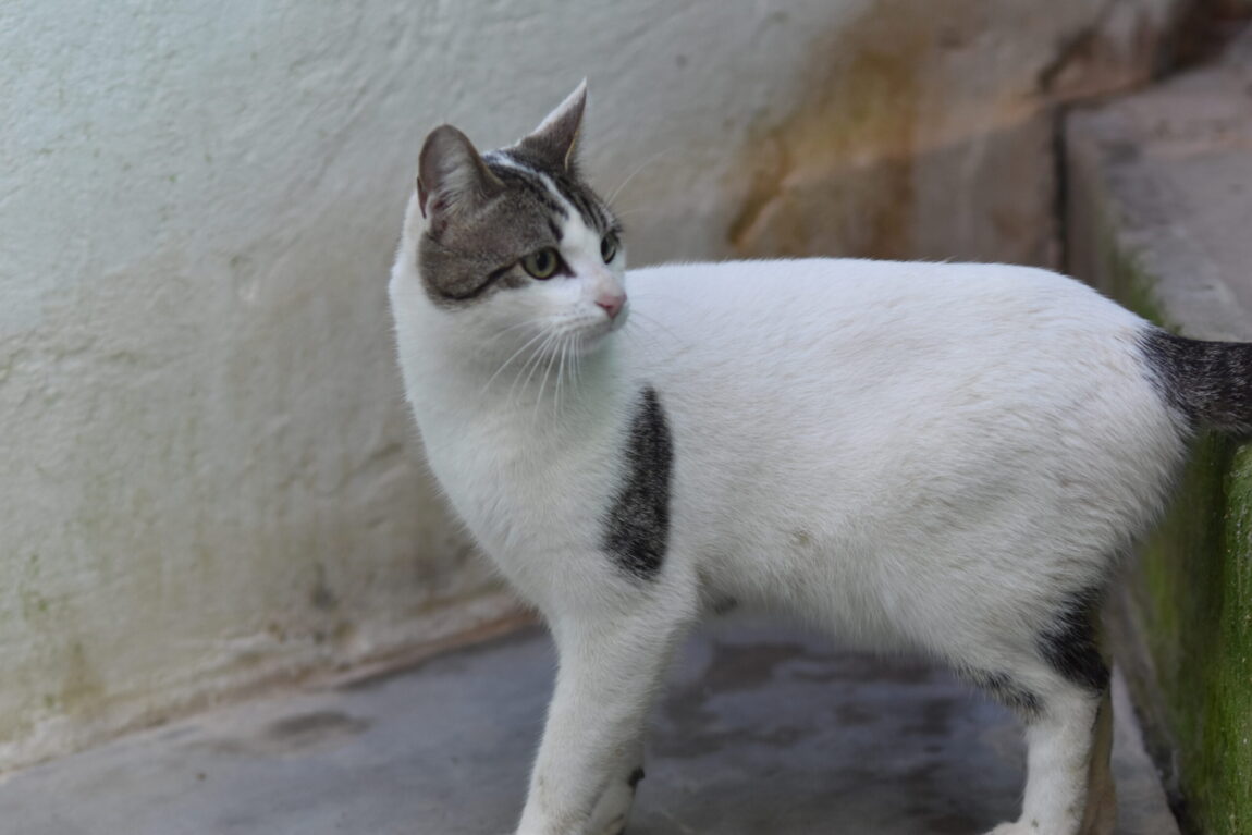 EJW_6953-scaled.jpg