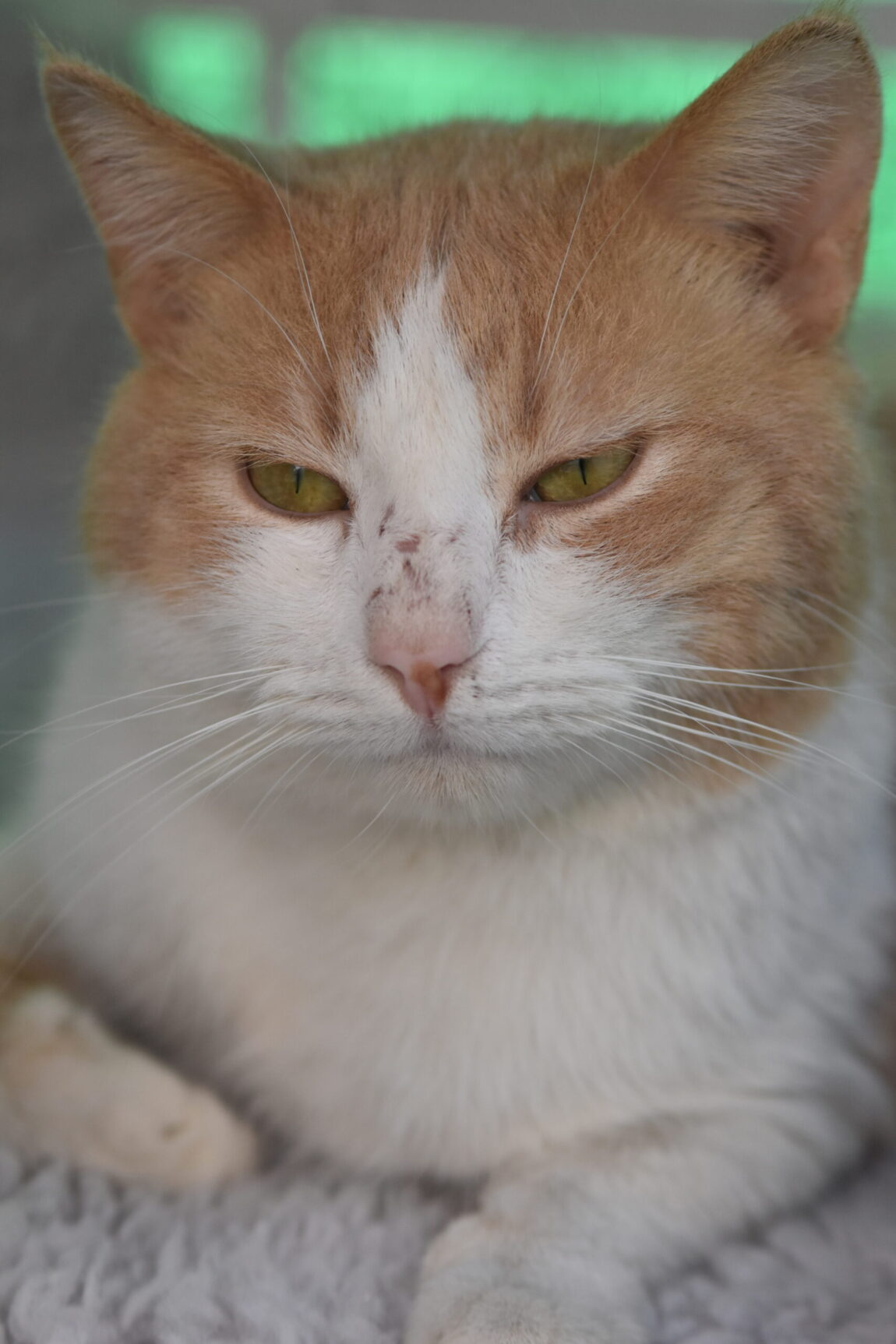 EJW_7535-scaled.jpg