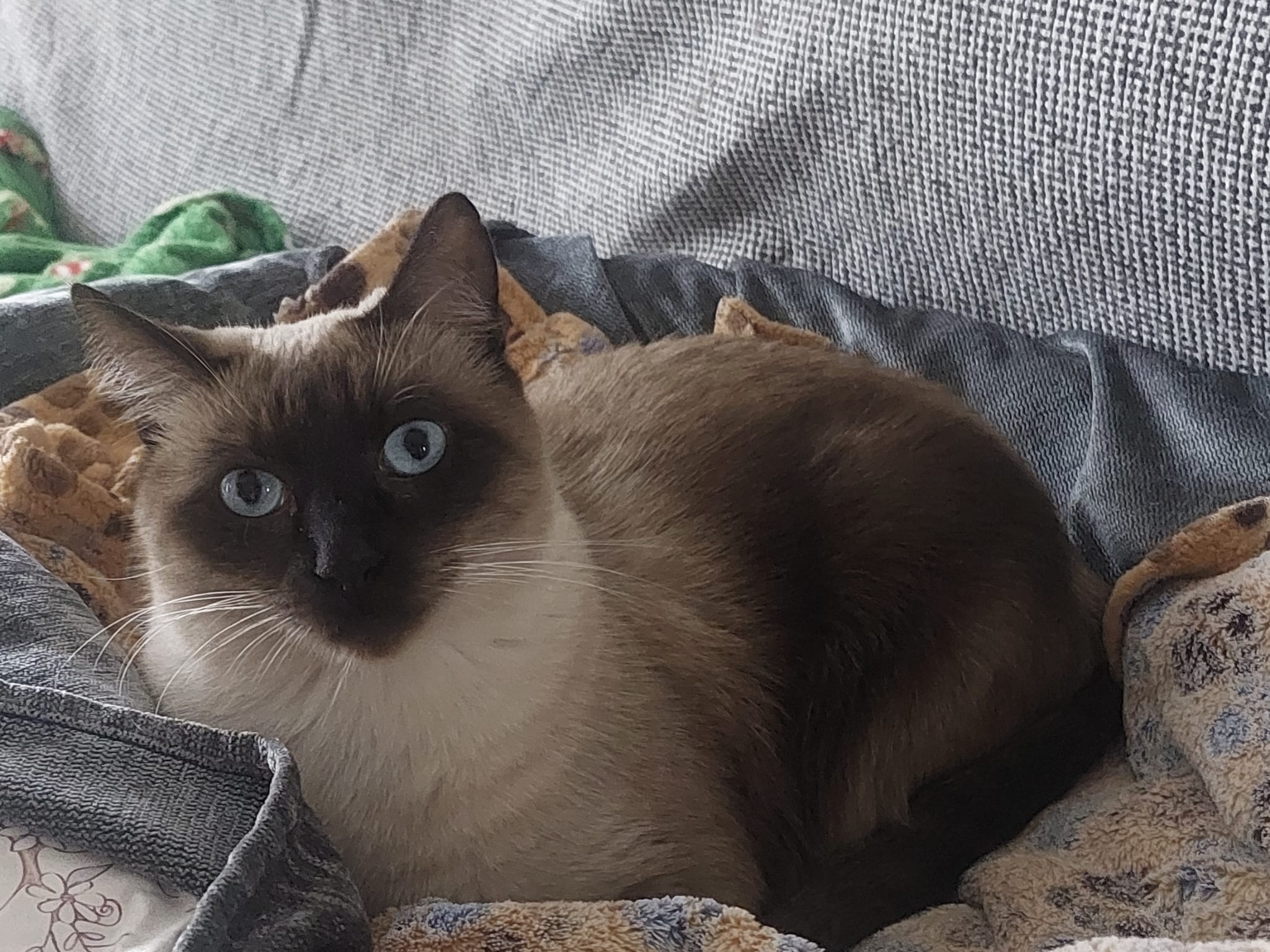 WhatsApp Image 2026-03-17 at 19.38.39