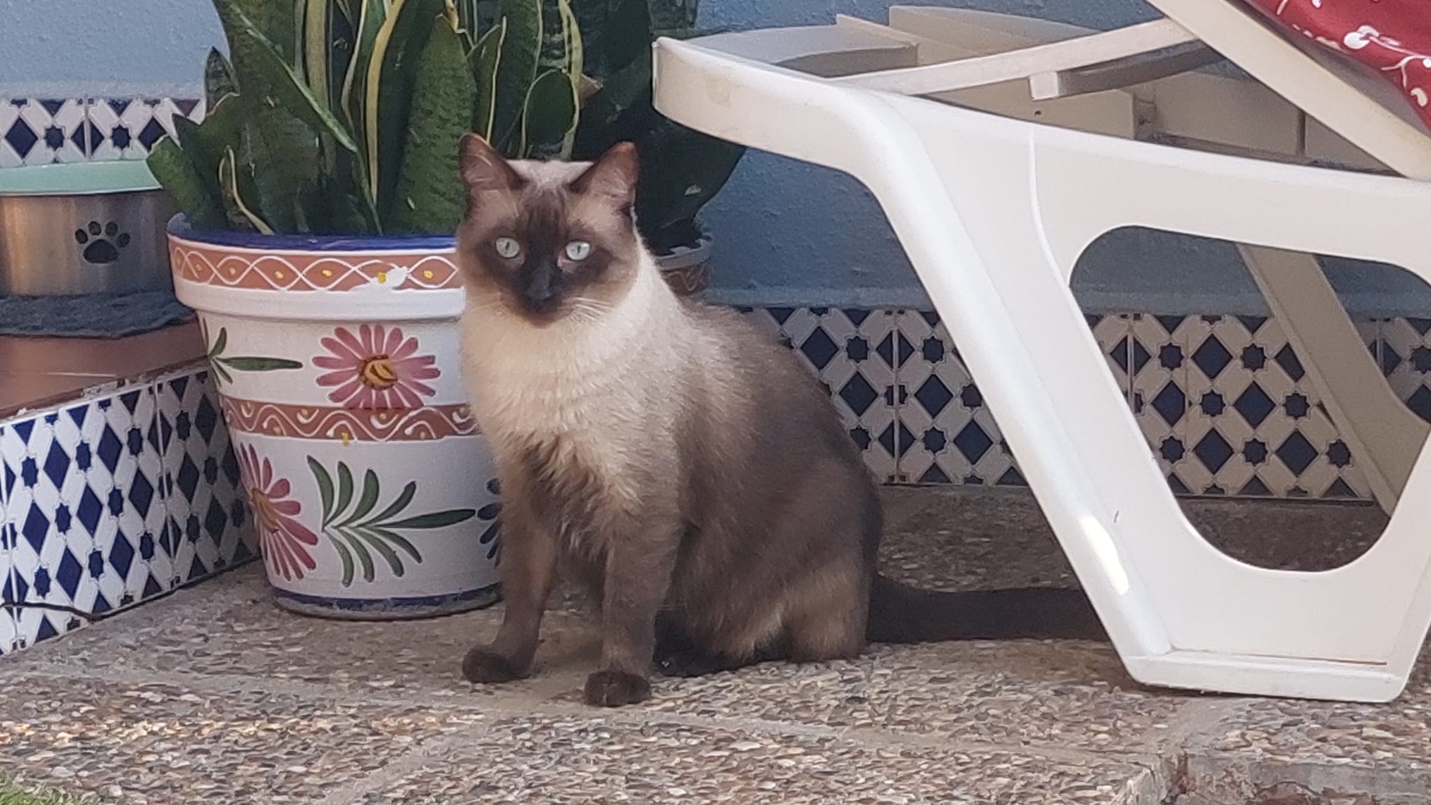 WhatsApp Image 2026-03-17 at 19.45.23