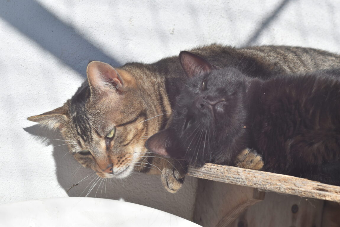 EJW_0451-scaled.jpg