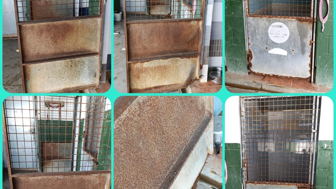 CAMBIO DE PUERTAS JAULAS ZONA CUARENTENA