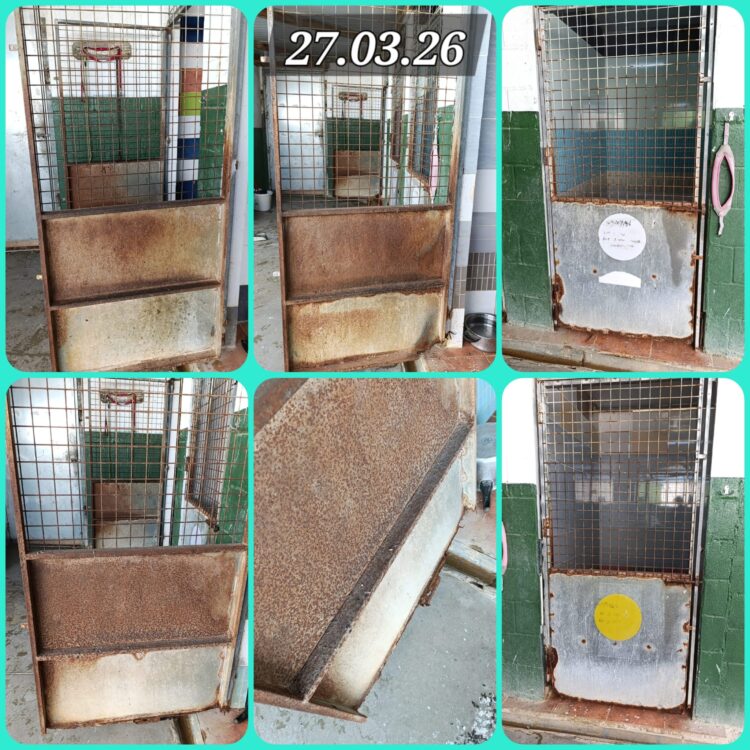 CAMBIO DE PUERTAS JAULAS ZONA CUARENTENA