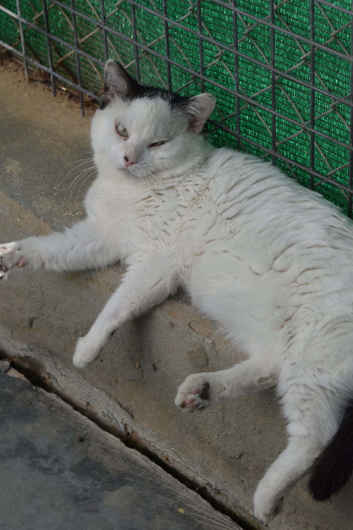 EJW_4294-scaled.jpg