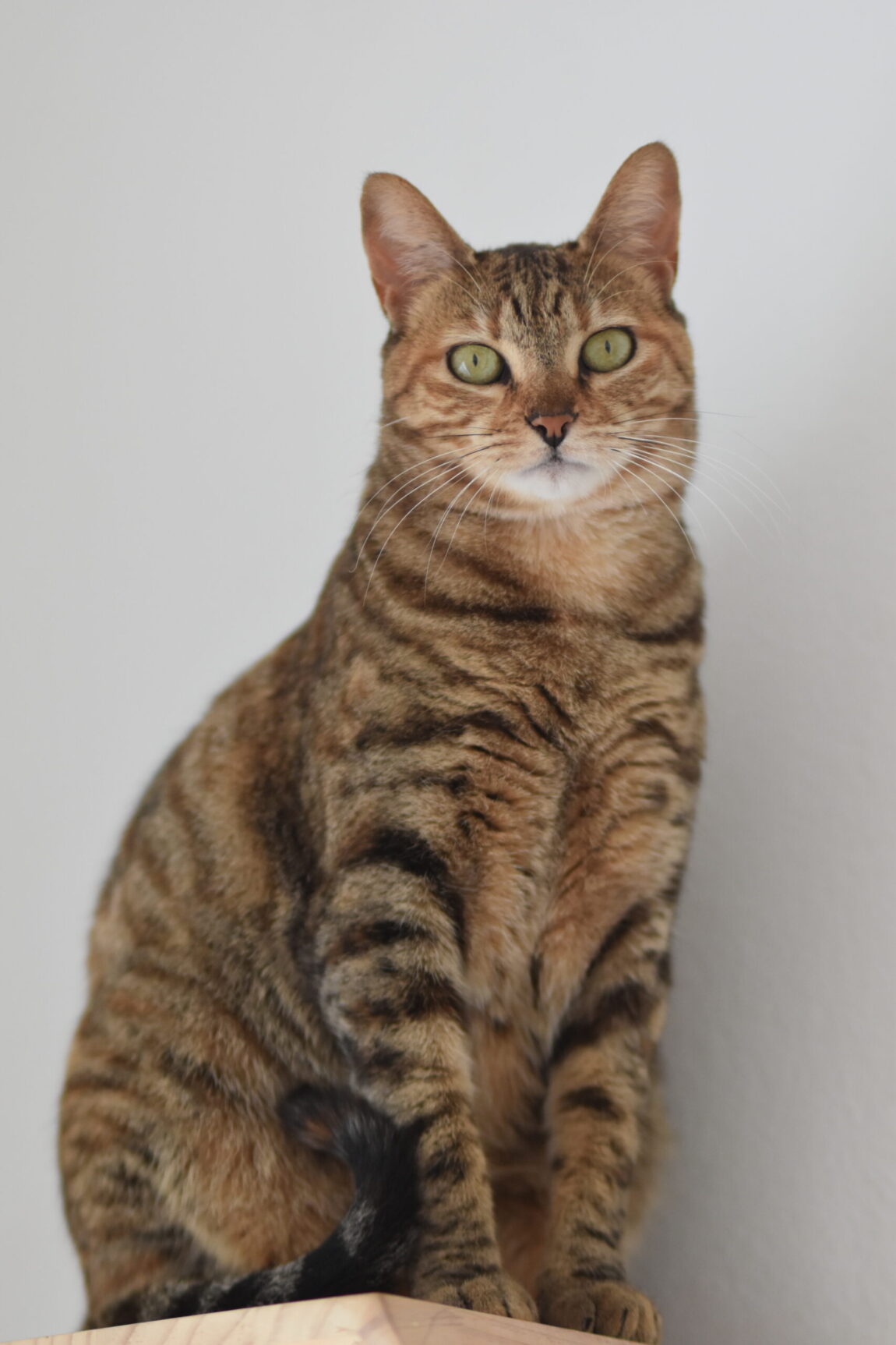 EJW_3078-scaled.jpg