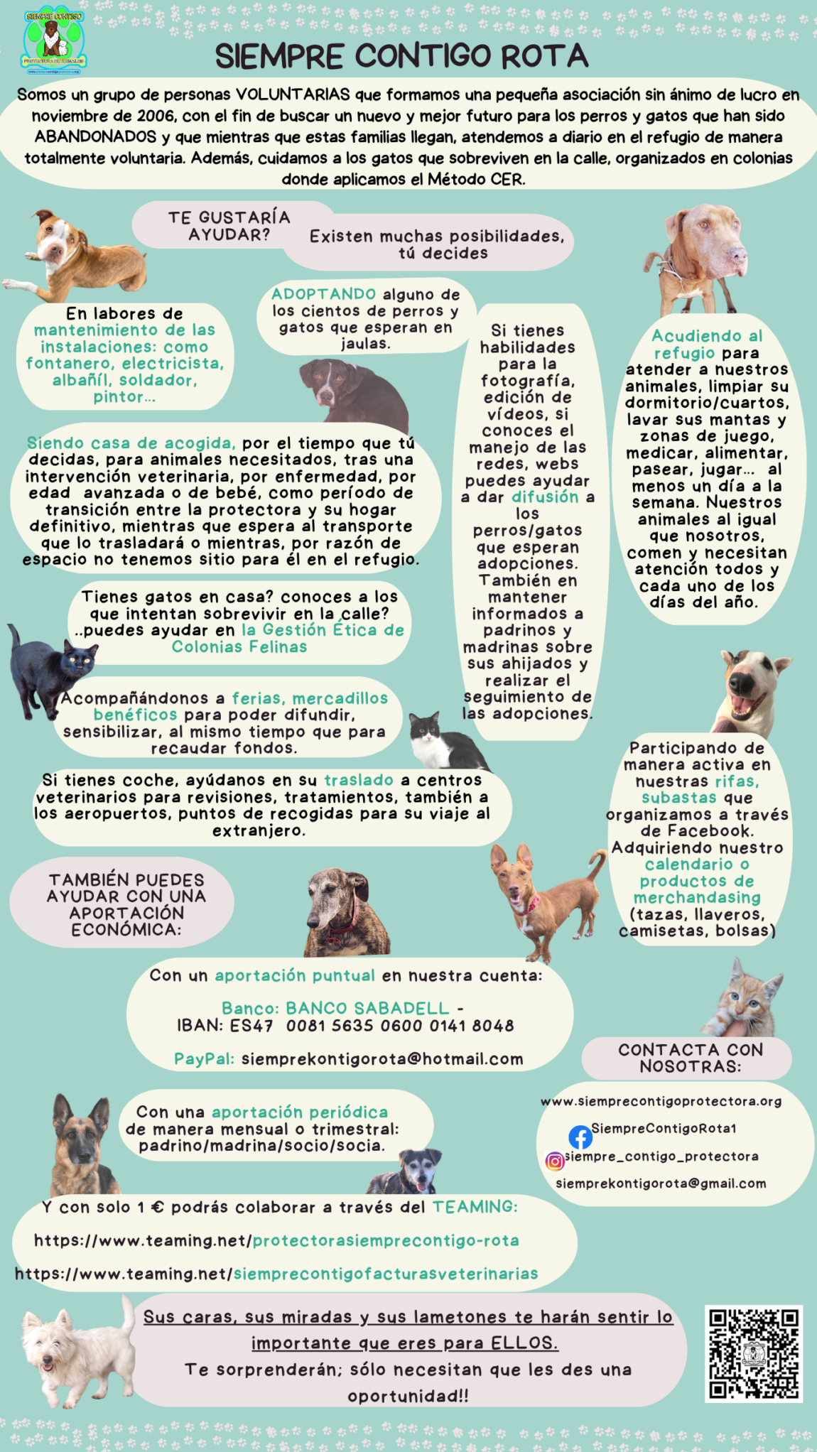 folleto.png