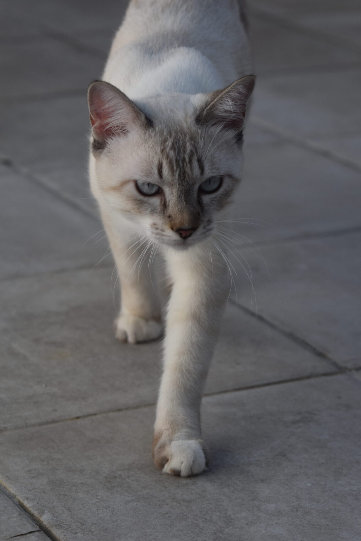 EJW_2684-scaled.jpg