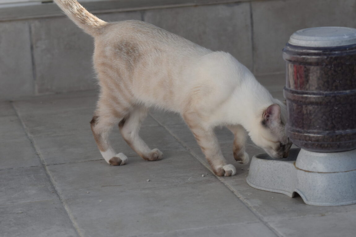EJW_2692-scaled.jpg