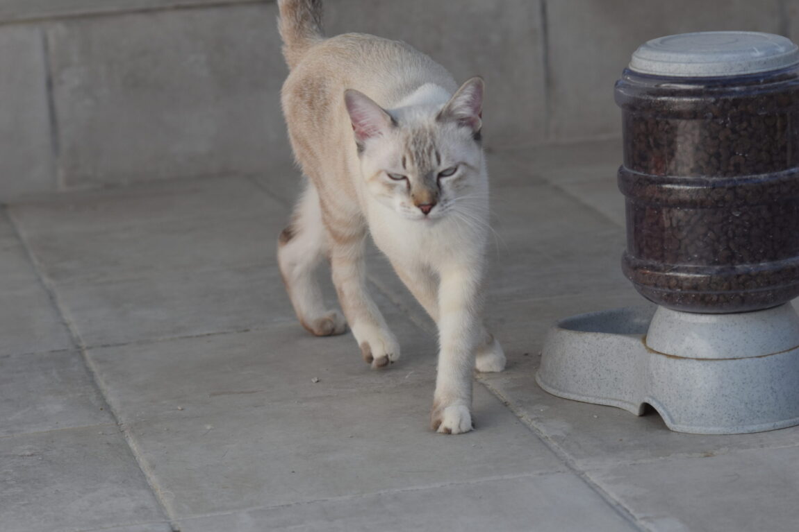 EJW_2695-scaled.jpg