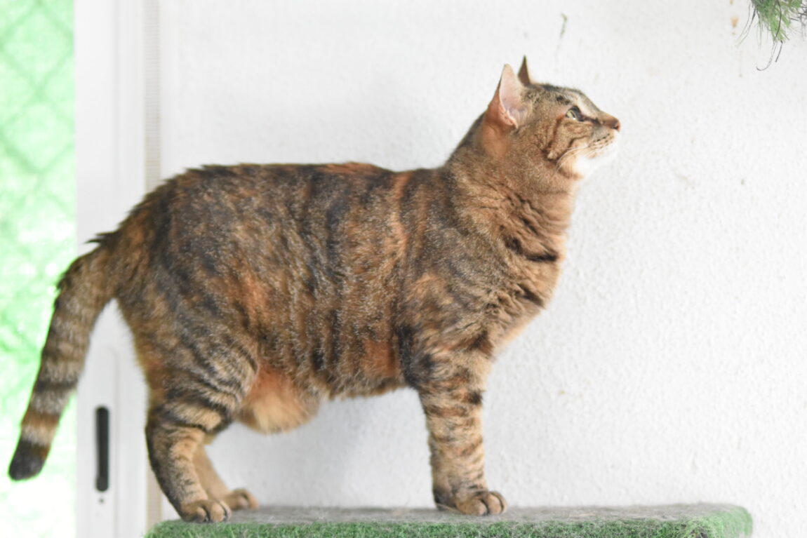 EJW_5041-scaled.jpg