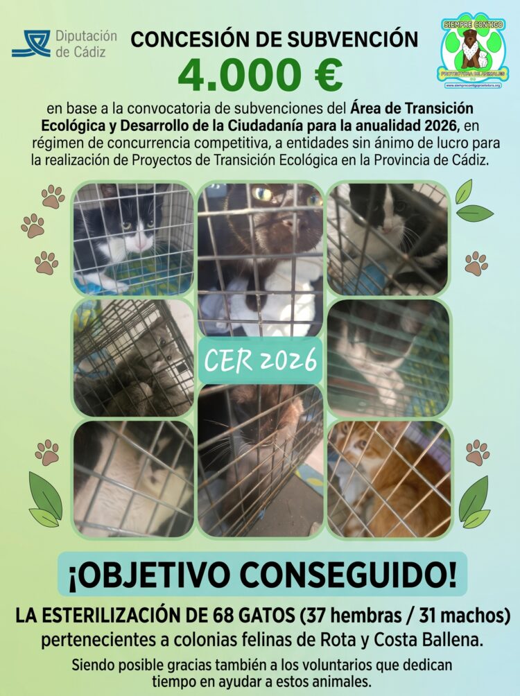 PROYECTO SUBVENCIONADO POR LA DIPUTACIÓN DE CÁDIZ