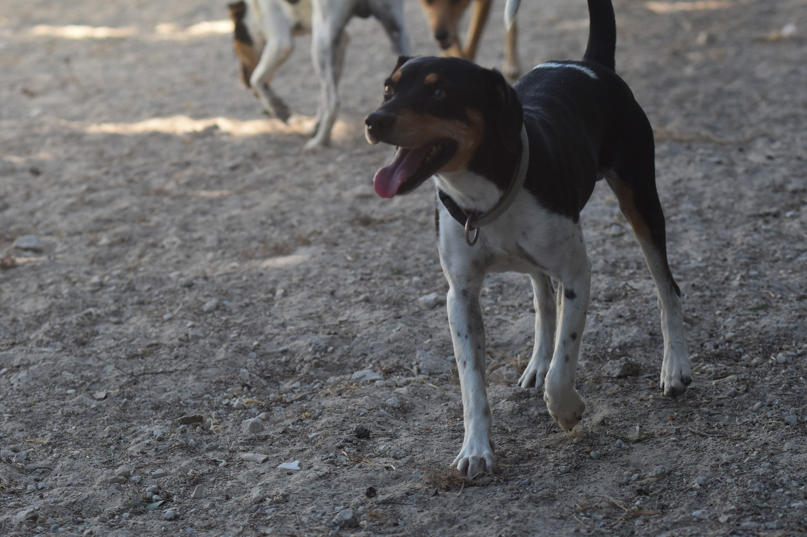 IMG-20260930-WA0064