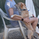 IMG-20260930-WA0074