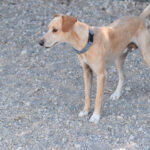 IMG-20260930-WA0076